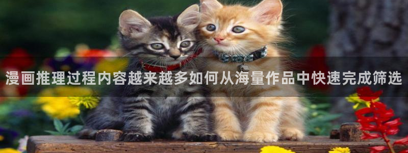 漫画岛网页版入口