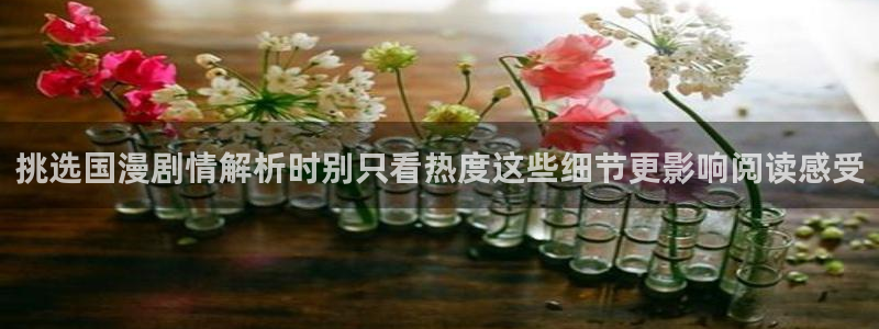 漫画岛入口页面